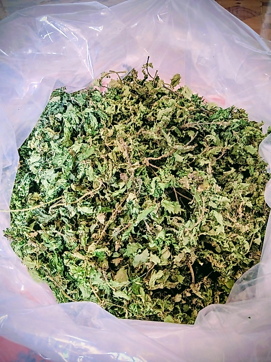 Isırgan Otu Kurusu(100 gr)